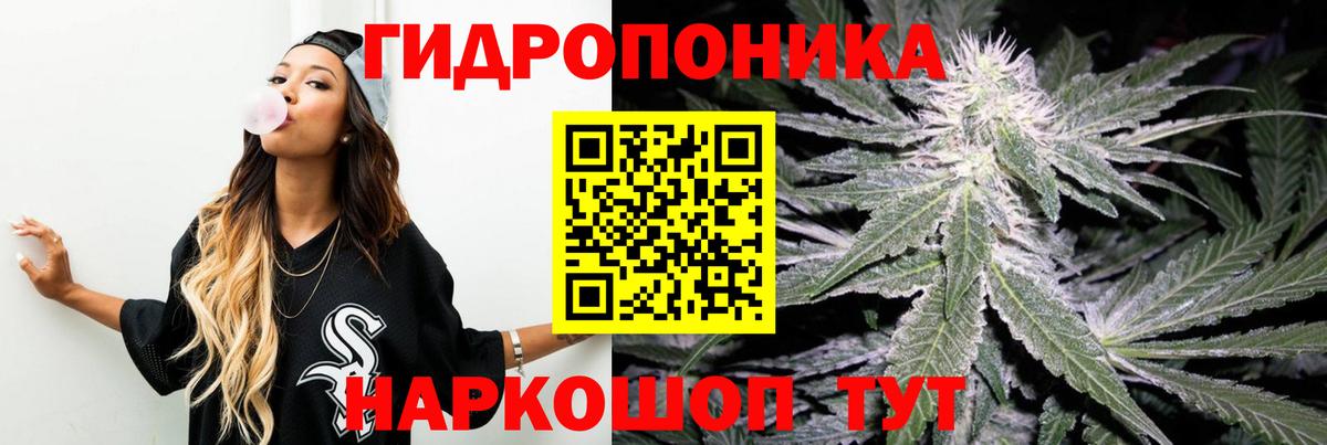Шишки марихуана семена Алапаевск